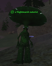 A Nightmarsh naturist
