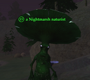 A Nightmarsh naturist