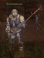 A runesmith escort
