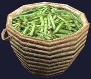 Basket of beans (Visible)