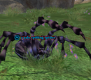A pale spitting spider