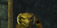 Oracle Tuunza
