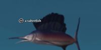A saberfish