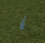 Final Note Wine Bottle