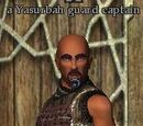 A Yasurbah guard captain