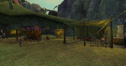 Camp Nybright