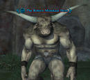 The Rotten Minotaur Hero