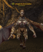 A holgresh elementalist