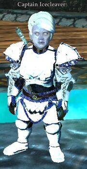 Captain Icecleaver