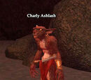 Charly Ashlash