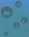 Race spheroid.jpg