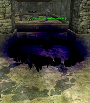 A portal of coalesced fear