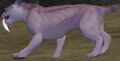Race sabertooth.jpg