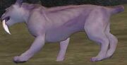 Race sabertooth