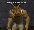 Snorgle Filthwallow