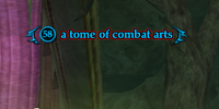 A tome of combat arts