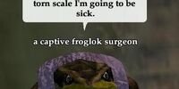 Captive froglok surgeon