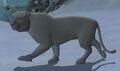 A Bloodthirsty Leopard.jpg