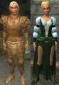 Race high elf.jpg