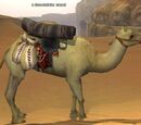 A dunestrider camel