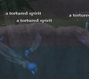 Collecting the Spirits