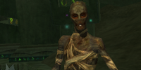 A Rin' Dal sage (heroic)