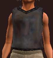 Vagabond's Breastplate of the Gambler (Equipped)
