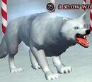 A snow wolf