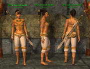 Dervish (Inquisitor) Placed
