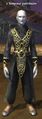 A Temporal pathfinder (The Sundered Frontier).jpg