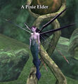 A Pixie Elder.jpg