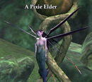 A Pixie Elder