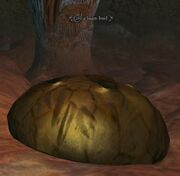 A loam boil