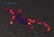 A magma worm