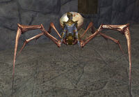 Grim Sorcerer V (Master)