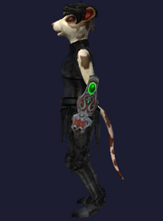 Hero Bracers (visible)