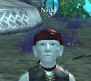 Nrik
