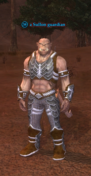 A Sullon guardian