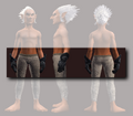 Archon's Gauntlets of the Citadel (Equipped).png