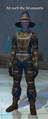 Ab'zorb the Wizmantle.png