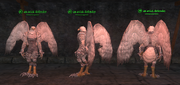 Aviak (Paladin) Placed