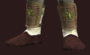 Naturalist's Sewn Leather Boots (Equipped)