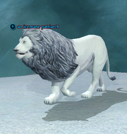 An icemane patriarch