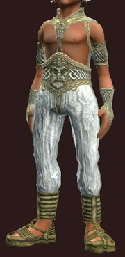 Illuminate's Fallen Leaves Gi (Equipped)