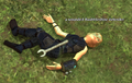 A wounded Baubbleshire defender.png