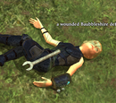 A wounded Baubbleshire defender