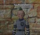 Torg Bramblehair
