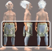 Vagabond's Chain Leggings (Equipped)