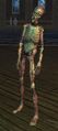 Rotting Thrall (Adept).jpg