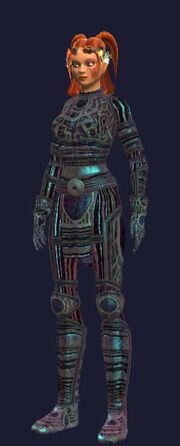 Furious Voidchanneled (Armor Set)